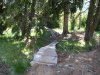DSCN6382.jpg
