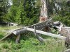 DSCN6419.jpg