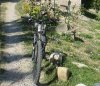 varie bike 004.jpg