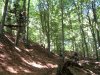 DSCN6293.jpg