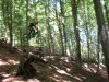 DSCN6294.jpg