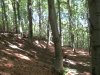DSCN6295.jpg