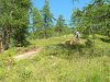 DSCN6629.jpg