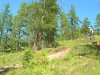 DSCN6630.jpg