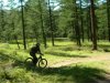 DSCN6642.jpg