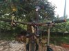 2 bike.jpg