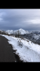 294EF5DF-9930-402B-9D95-EA3380A3777A.png