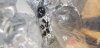 thumbnail_20191109_141738.jpg