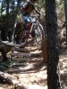 DSC01673small.jpg