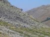 DSC07466.jpg