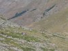 DSC07467.jpg