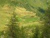 DSCN6718.jpg