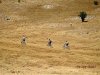 DSCN1423.jpg