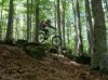 DSCN3612.JPG