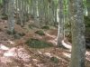 DSCN3615.JPG