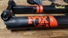 fox 02.jpg