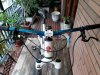 20181028_130706.jpg