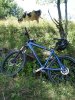 DSC03147.jpg