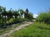 _thb_custoza bike prova 029.jpg