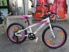 Cube Race 200