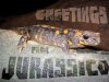 jurassico.jpg