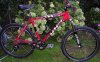 Bici-Elena-web.jpg
