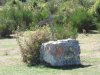 Cottanello-Forum14.jpg