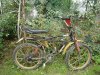 DSCF0621.jpg