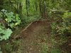 DSC02733.jpg
