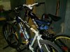IMAG0198.jpg