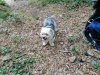 IMG_20191013_111740.jpg