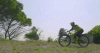 YouCut_20181129_170704699_1.gif