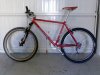 la mia bici.jpg