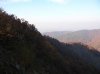 DSCN0546.jpg