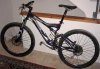 Stumpy_02.jpg