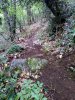 IMG_20200506_090804.jpg