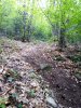 IMG_20200506_092703.jpg