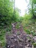 IMG_20200506_094555.jpg