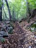 IMG_20200506_074607.jpg