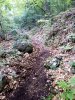 IMG_20200506_082904.jpg