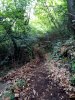 IMG_20200506_085752.jpg