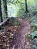 IMG_20200506_091909.jpg