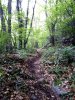 IMG_20200506_083907.jpg