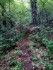 IMG_20200506_084453.jpg