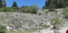20200509_130504.jpg