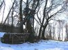 DSCN1645.jpg