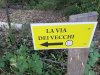 20200606_160416.jpg