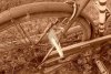 Cartolina-nella-ruota-della-bicicletta-436x291.jpg