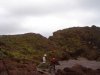 DSC07973.jpg