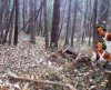 salto valmarina.jpg